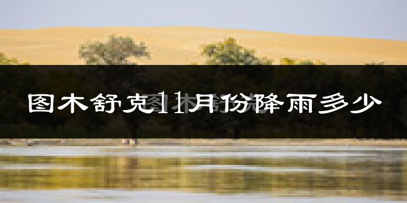 图木舒克11月份降雨多少?