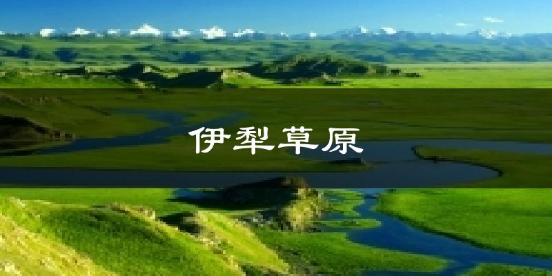 伊犁草原天气预报十五天