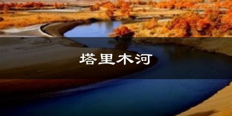 塔里木河天气预报十五天