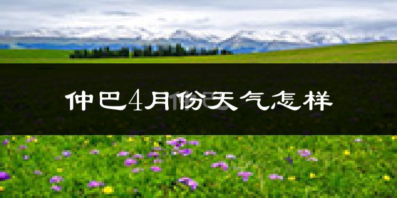仲巴县4月份天气如何?很冷吗?