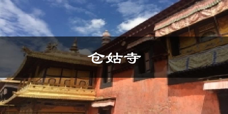仓姑寺天气预报十五天
