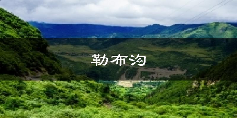 勒布沟天气预报十五天