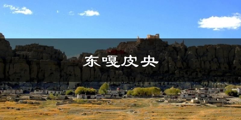 东嘎皮央今日天气