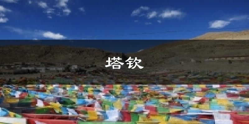 阿里塔钦天气预报未来一周