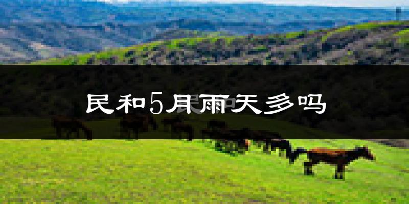 民和5月雨天多吗?