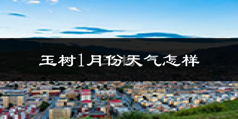 玉树市1月份天气如何?很冷吗?