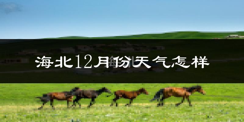 海北12月份天气怎样?海北十二月冷吗?