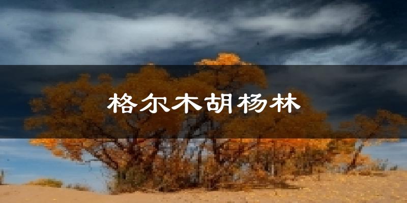 格尔木胡杨林天气预报十五天