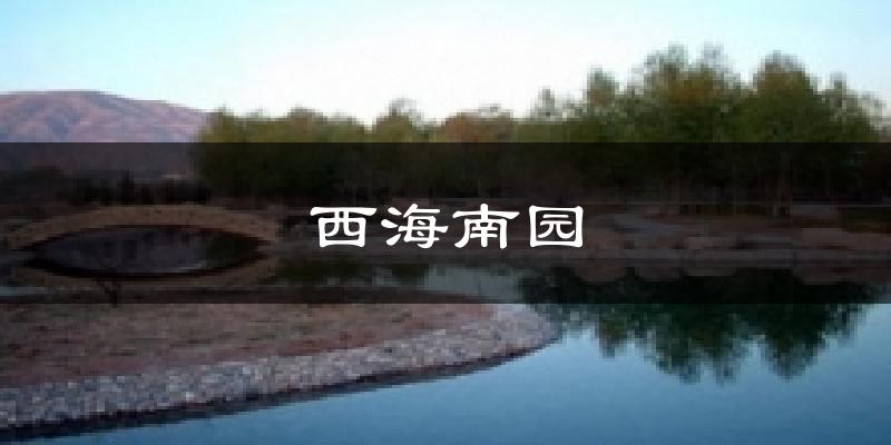 西海南园天气预报十五天