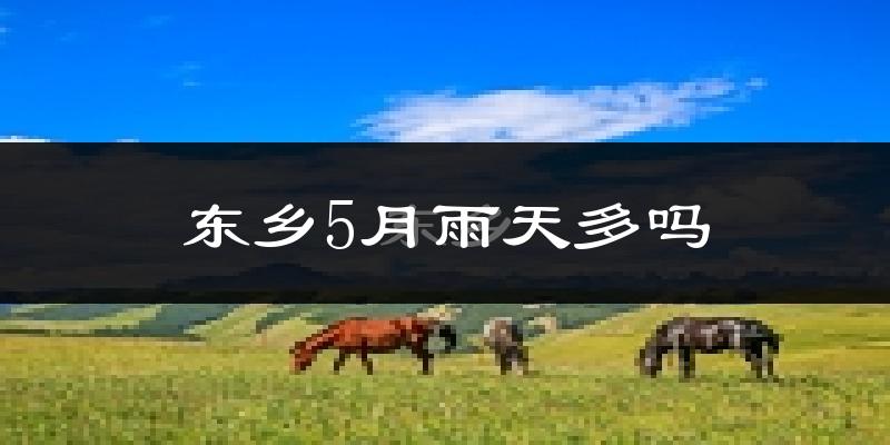 东乡5月雨天多吗?