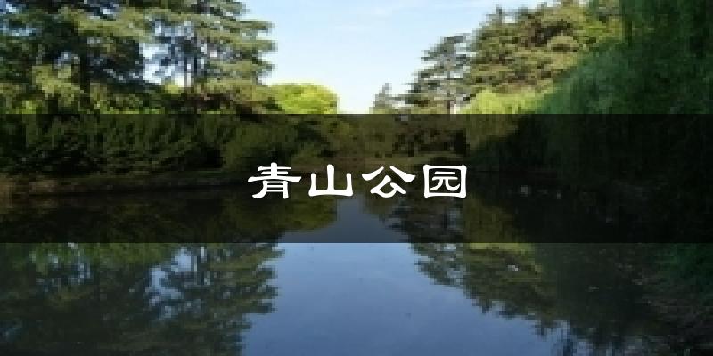 青山公园天气预报十五天