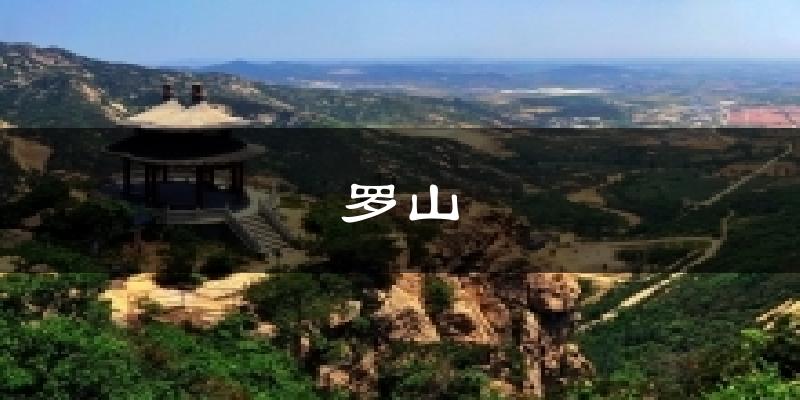 罗山天气预报十五天