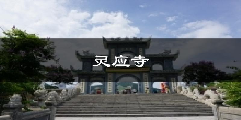 灵应寺天气预报十五天