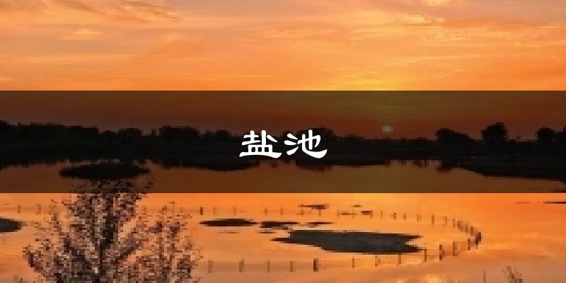 盐池天气预报十五天