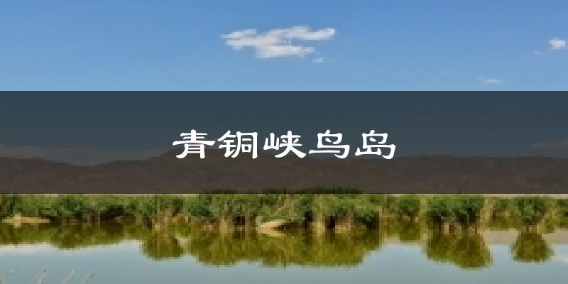 青铜峡鸟岛天气预报十五天