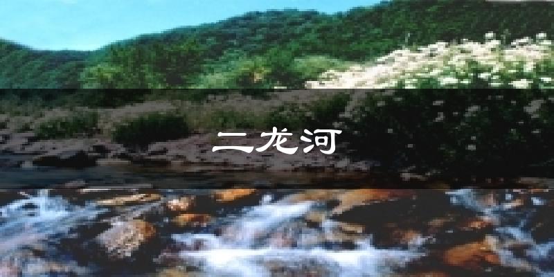 二龙河天气预报十五天