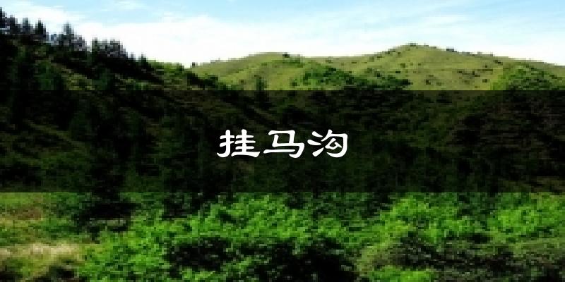 挂马沟天气预报十五天