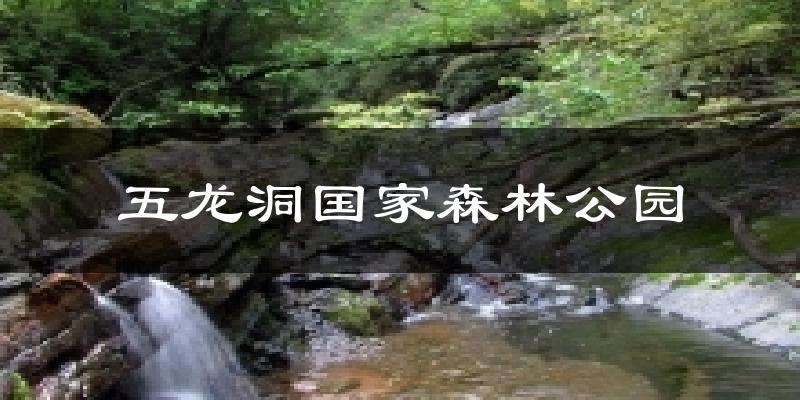 五龙洞国家森林公园天气预报十五天