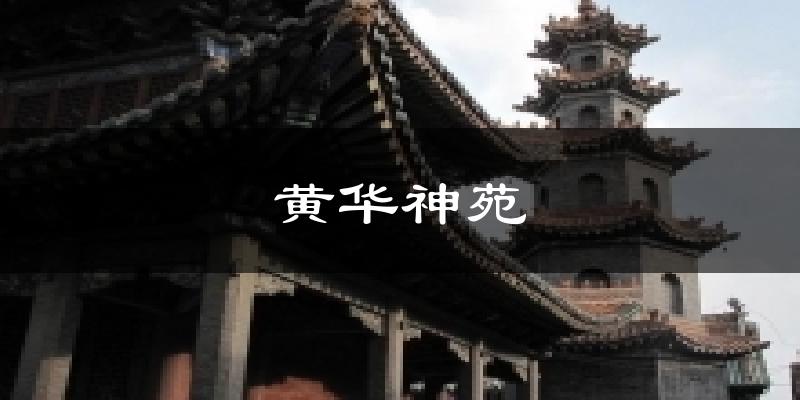 黄华神苑天气预报十五天