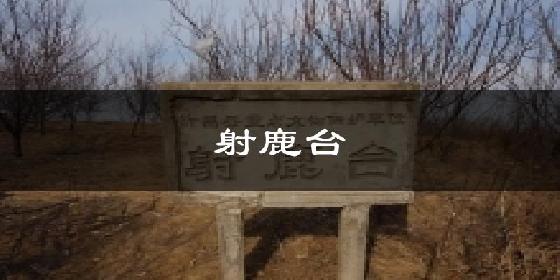 射鹿台天气预报十五天