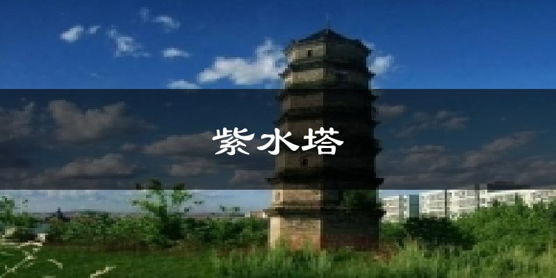 紫水塔天气预报十五天