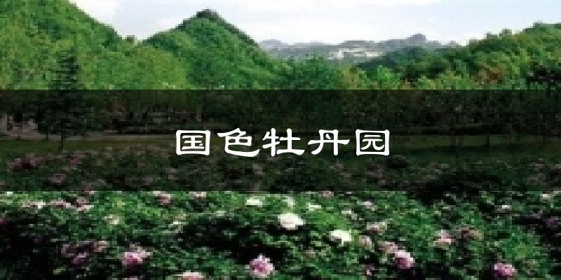国色牡丹园天气预报十五天