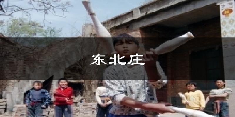 东北庄天气预报十五天