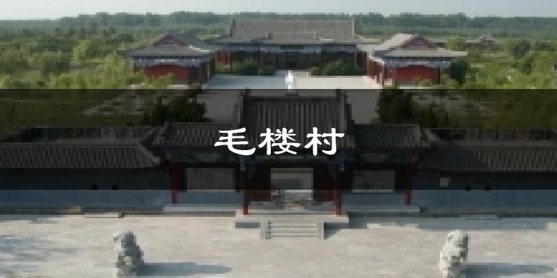 毛楼村天气预报十五天