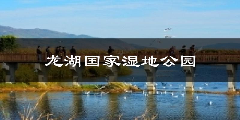 龙湖国家湿地公园天气预报十五天