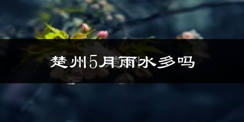 楚州5月雨水多吗?