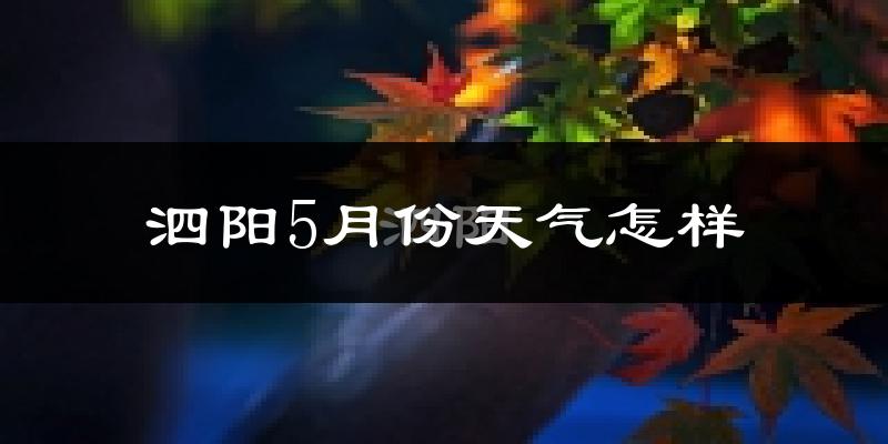泗阳县5月份天气如何?很热吗?