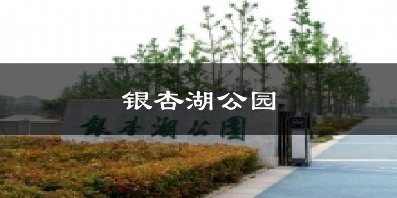 银杏湖公园天气预报十五天
