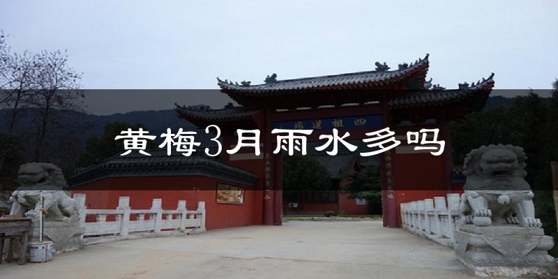 黄梅3月雨水多吗?