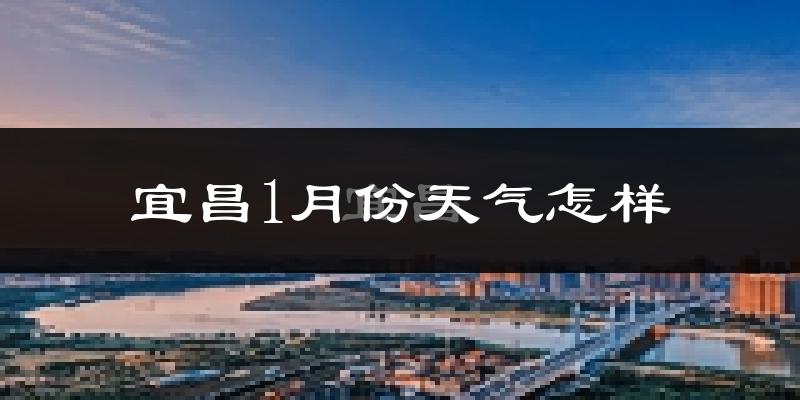 宜昌市1月份天气如何?很冷吗?
