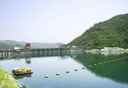 张湾天气
