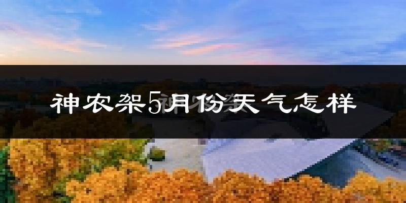 神农架5月天气如何?很热吗?