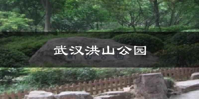 武汉洪山公园天气预报十五天