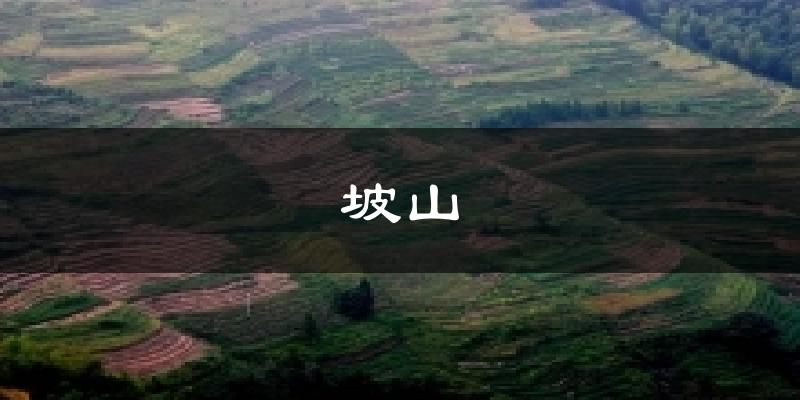 坡山天气预报十五天