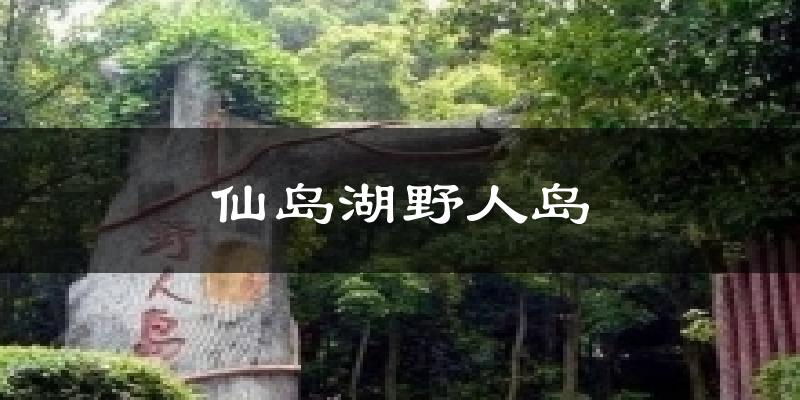 仙岛湖野人岛天气预报十五天