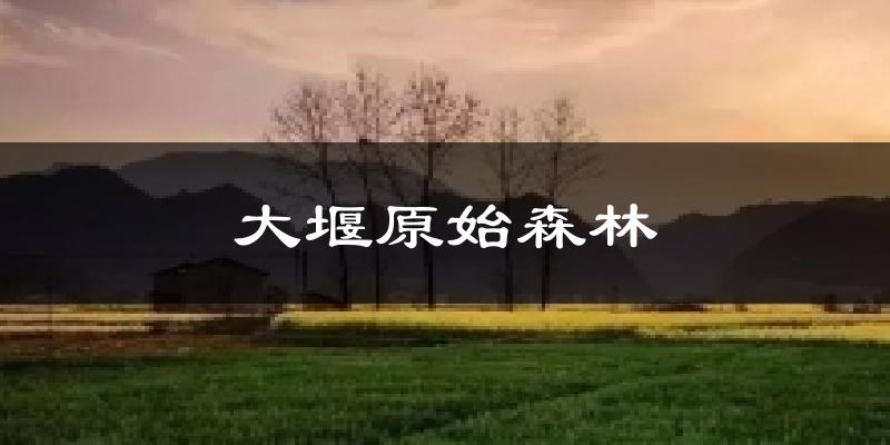大堰原始森林天气预报十五天