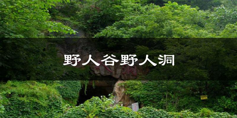 野人谷野人洞天气预报十五天