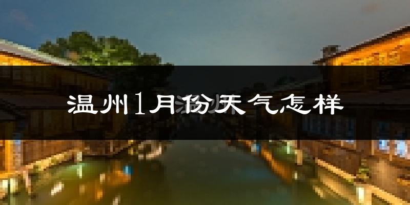 温州1月份天气如何?很冷吗?