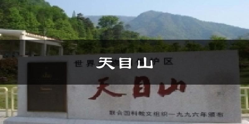 天目山天气预报十五天