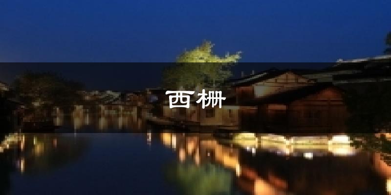 西栅天气预报十五天
