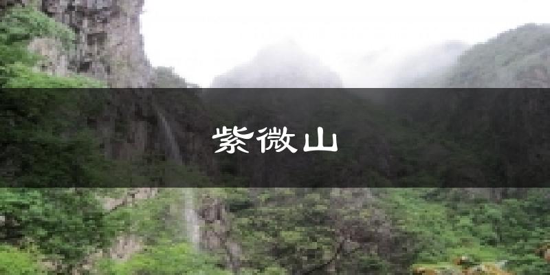 紫微山天气预报十五天