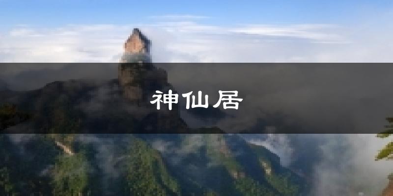 神仙居天气预报十五天