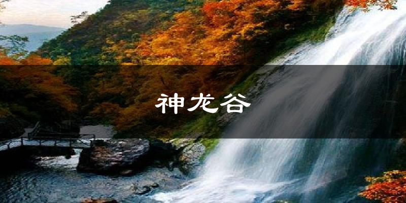 神龙谷天气预报十五天