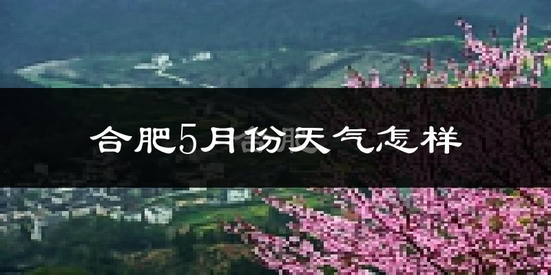 合肥5月份天气如何?很热吗?