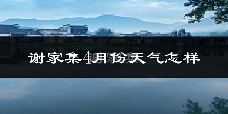 谢家集4月份天气怎样?谢家集四月冷吗?