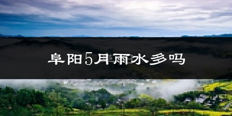 阜阳5月雨水多吗?